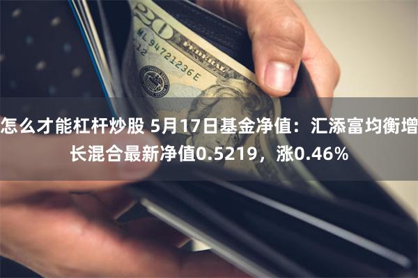 怎么才能杠杆炒股 5月17日基金净值：汇添富均衡增长混合最新净值0.5219，涨0.46%