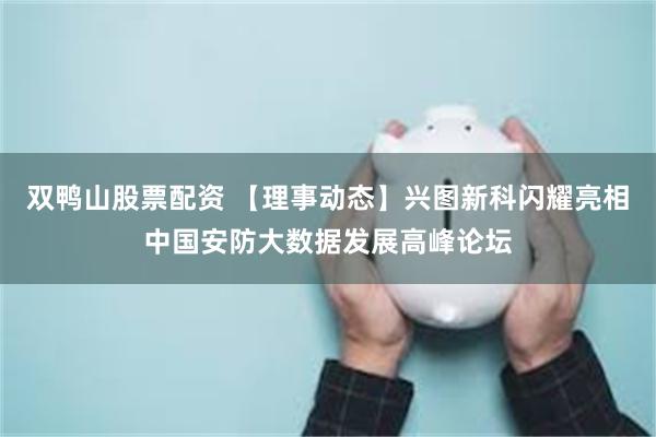 双鸭山股票配资 【理事动态】兴图新科闪耀亮相中国安防大数据发展高峰论坛