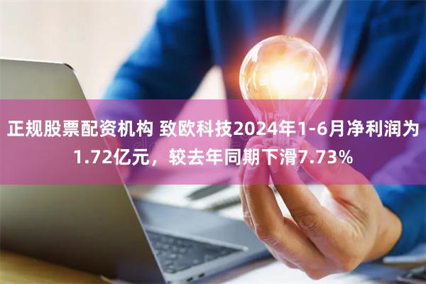 正规股票配资机构 致欧科技2024年1-6月净利润为1.72亿元，较去年同期下滑7.73%