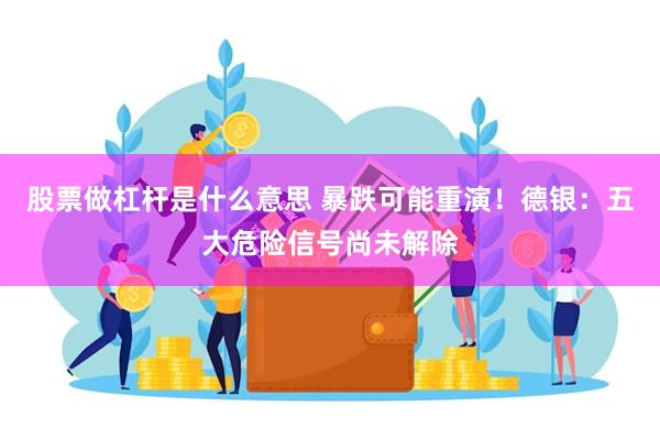 股票做杠杆是什么意思 暴跌可能重演！德银：五大危险信号尚未解除