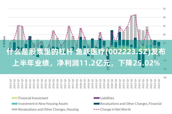 什么是股票里的杠杆 鱼跃医疗(002223.SZ)发布上半年业绩，净利润11.2亿元，下降25.02%