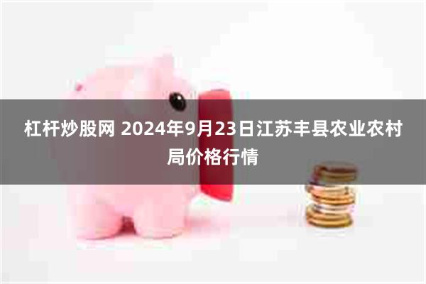 杠杆炒股网 2024年9月23日江苏丰县农业农村局价格行情