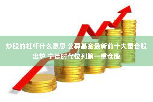 炒股的杠杆什么意思 公募基金最新前十大重仓股出炉 宁德时代位列第一重仓股