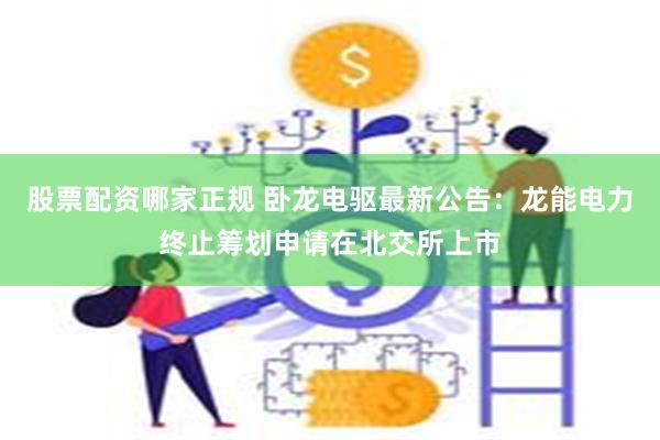 股票配资哪家正规 卧龙电驱最新公告：龙能电力终止筹划申请在北交所上市