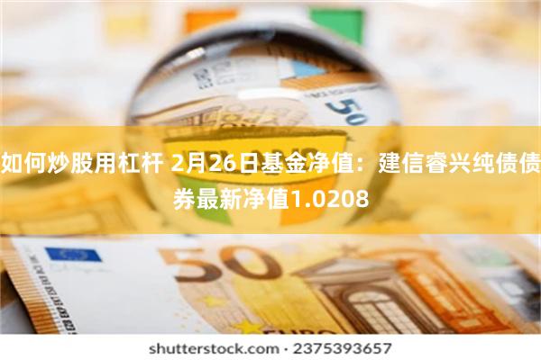 如何炒股用杠杆 2月26日基金净值：建信睿兴纯债债券最新净值1.0208